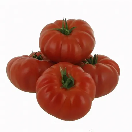 Tomate côtelée Marmande (1kg)